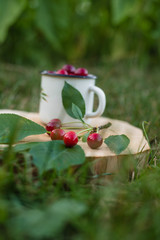 a cup with cherries, an old book, a summer straw hat on a background of green grass in the garden. Summer concept