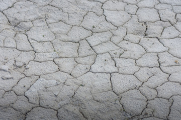many cracks in a soil with lime