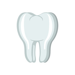 human tooth flat design icon vector illustration, isolated stock vector