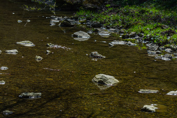 many bright stones in a calm creek