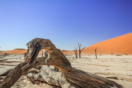 Mittagshitz im Deadvlei, Namibia