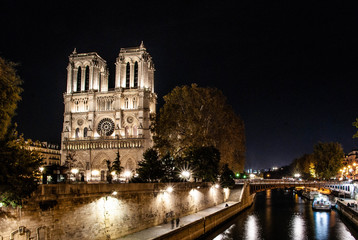 Fototapeta na wymiar Notre dame de Paris de nuit