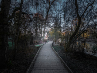 Obraz premium Chemin fantastiques dans les bois