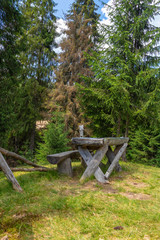 wooden bench in the forest