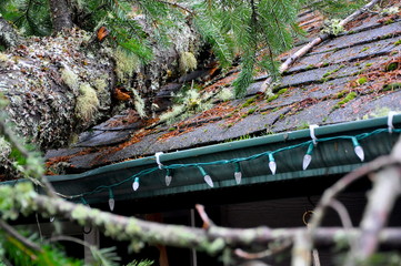 Gutter Damage
