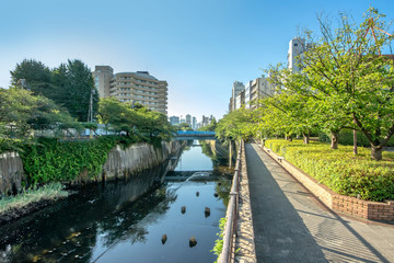 Fototapeta premium 目黒川の船入場調節池と川の資料館