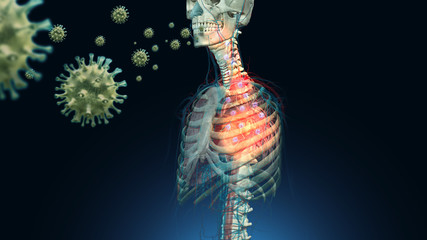 corona virus lung infection and spread animation