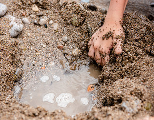 child plays on the beach in the sand. Children's hands in the sand on the beach close-up. A child builds a sand castle. On the seashore. On the ocean. Dirty sand by the sea