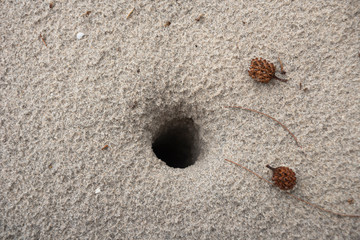sand castle on the beach