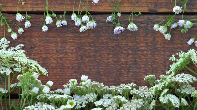 White meadow flowers laying on vintage brown wooden background. Top view flatlay 4k video backdrop with empty copy space for your design.
