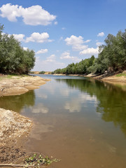 Lake shore on a summer day