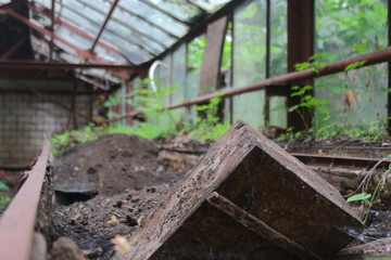 wooden boxes in the greenhouse