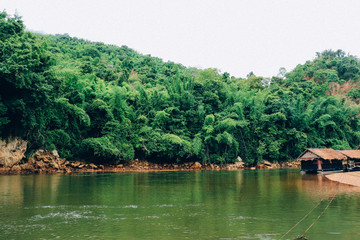 Obraz premium the river in the jungle