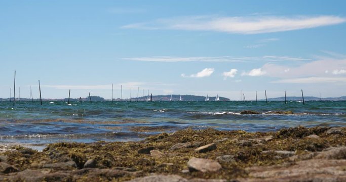 Seascape of Ria de Arousa on summertime. Scene with Rocks algae, sea and sailboats at background. Rias Baixas Coast Timelapse video