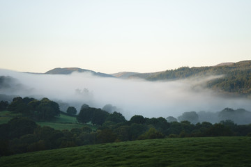 Inversion over the Forest