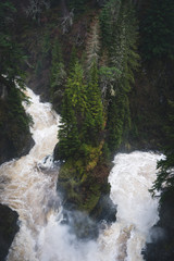Waterfall Cascades in the Forest