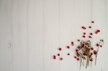 wild strawberries on a white wooden background, top view, place to copy