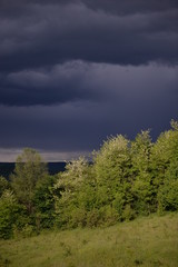 Obraz premium storm clouds in spring in the meadow near the forest with flowers
