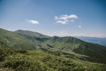 A field with a mountain in the background