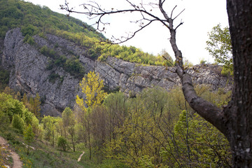 Nerei - Beușnița Ravine National Park. View of the rocky mountain with trees and grass all around. 