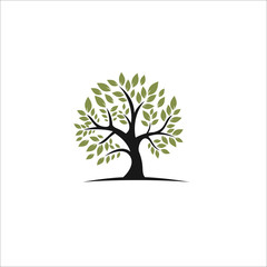 Obraz premium oak tree logo design template silhouette vector green