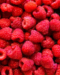 red raspberries background