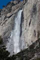 Yosemite Falls from the Valley