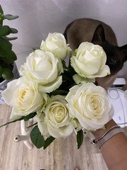 bouquet of roses