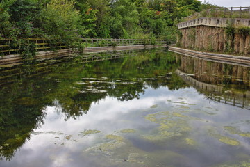 Fototapeta na wymiar Reflections On The Stroud Canal