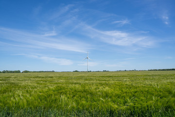 Fototapeta na wymiar A symbol for green energy, wind turbine on a green field at Fehmarn in Schleswig Holstein Germany.