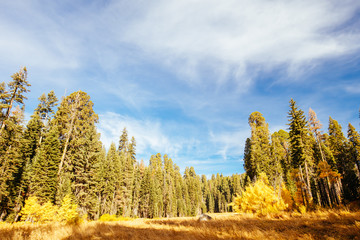 Crescent Meadow Picnic Area