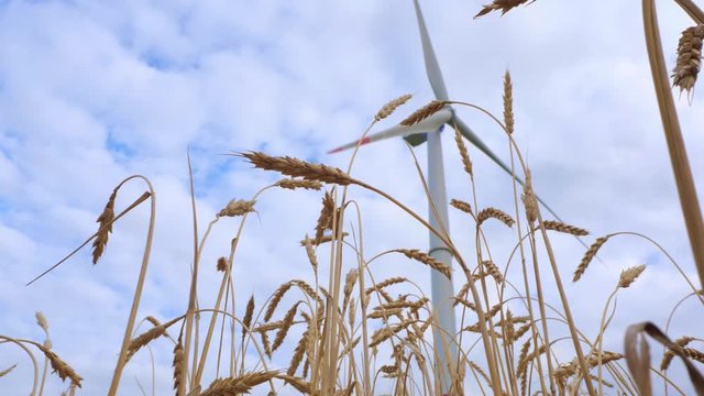 windmill in wheat field underview slide