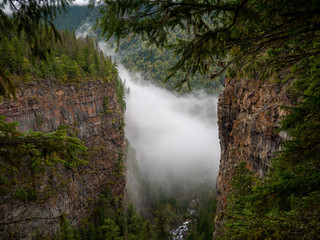 Mystic foggy valley of the clearwater river in the Wells Gray Provincial Park in British Columbia, Canada