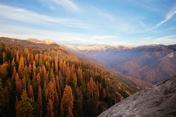 Sequoia National Park in California USA
