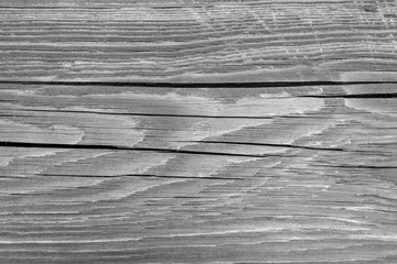 Gray wood texture, background, blank for designers.