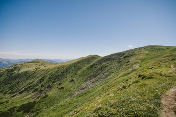 Naklejka premium A close up of a lush green hillside