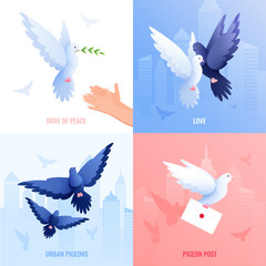 Pigeons Flat Design Concept