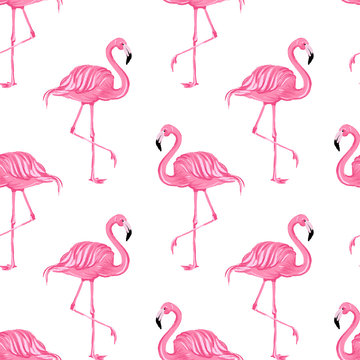 Beautiful seamless vector tropical pattern with pink flamingos on white background. Abstract summer texture. vector illustration.