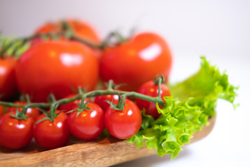 Juicy and fresh tomatoes ready for eating.
