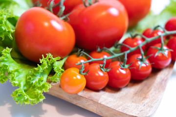 Juicy and fresh tomatoes ready for eating.