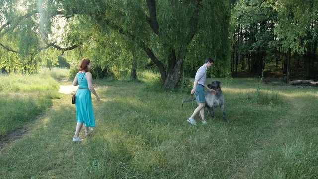 Modern young couple playing with their irish wolfhound dog in the park during the morning walking. Happy family spend time together.