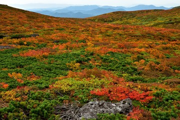 絶景紅葉　栗駒山の神の絨毯・素晴らしき錦秋の山