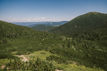 Naklejka premium A sign on the side of a mountain