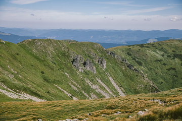 Obraz premium A herd of sheep grazing on a rocky hill