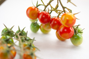 赤く熟れたミニトマト クロースアップ 白背景