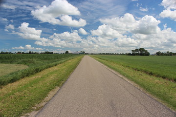 Fototapeta na wymiar A small country road through the green Dutch meadows in the summer with a blue sky and beautiful clouds.