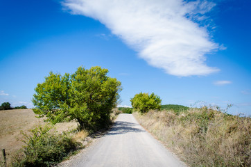 Camminando nella campagna toscana da Sant'Antimo a Montalcino