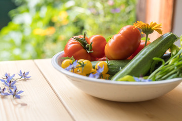 Urban gardening: Fresh cultivated vegetables grown up in the own garden. Tomatoes, zucchini and herbs
