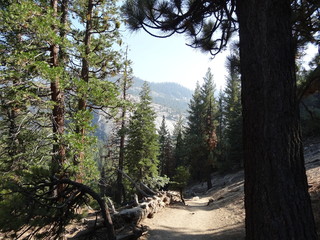 Views of Yosemite National Park 