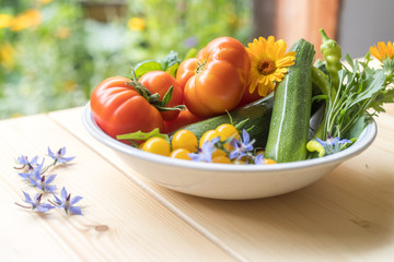 Urban gardening: Fresh cultivated vegetables grown up in the own garden. Tomatoes, zucchini and herbs